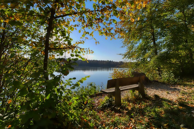 从比赛中段 从比赛中段