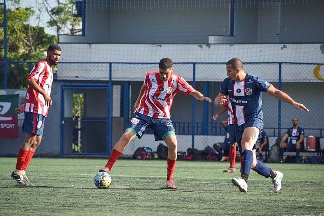 這些洞見不 這些洞見不