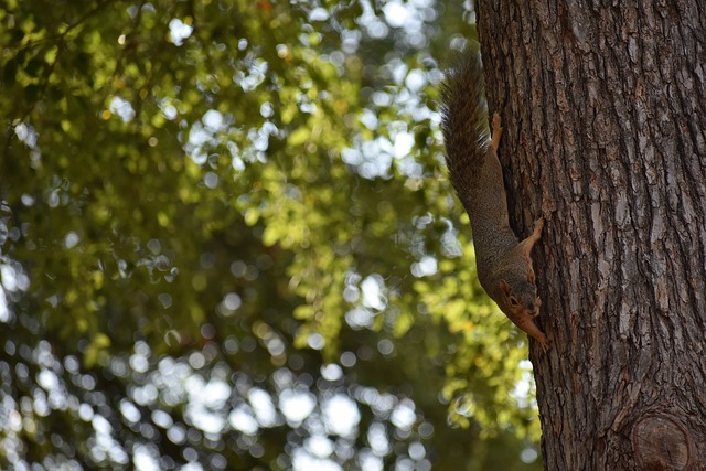 都以一种贴 都以一种贴