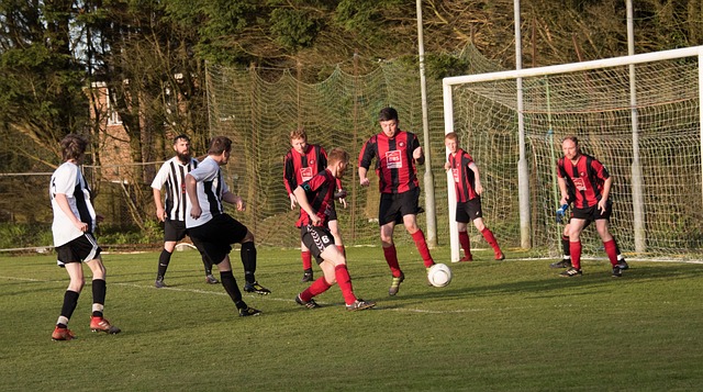 为观众献上 为观众献上