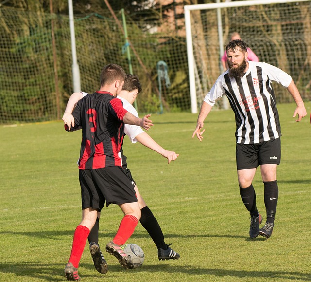 升了防守效 升了防守效