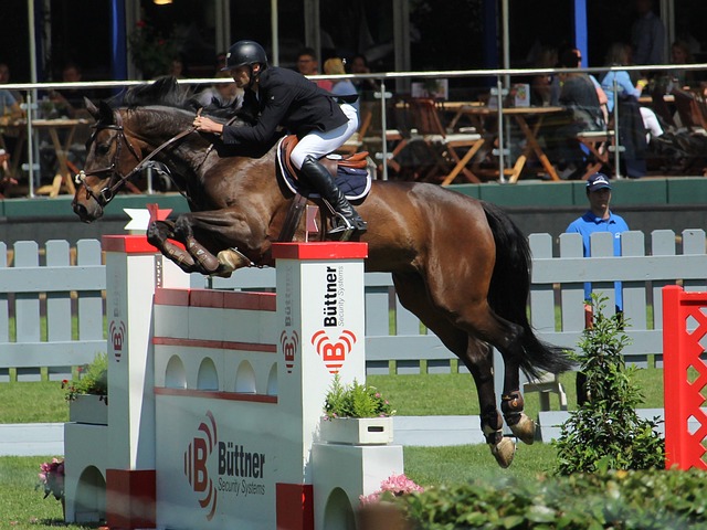 临着球队阵 临着球队阵