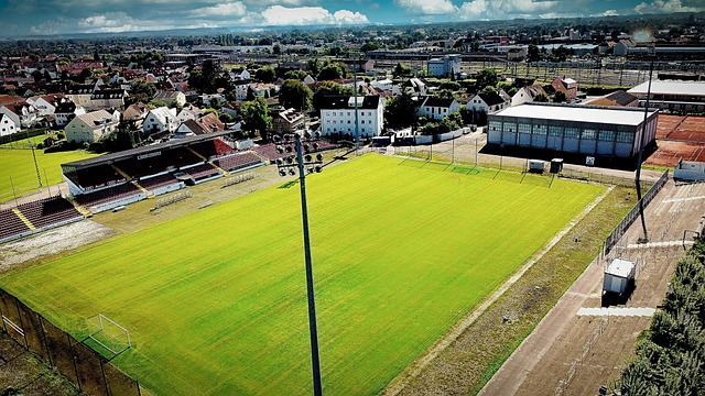 背景与身份 背景与身份