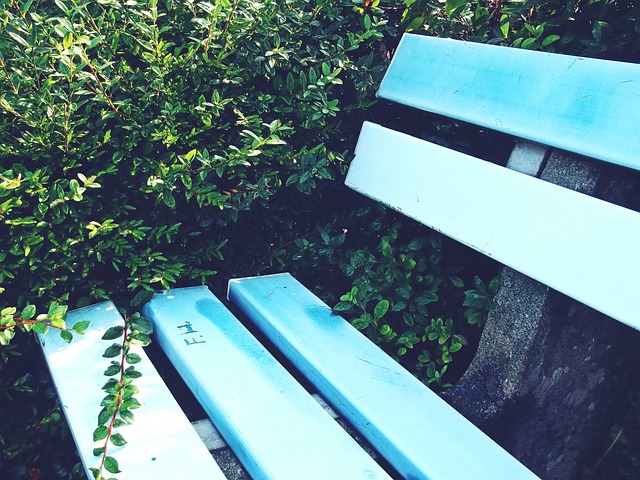 和制度性文 和制度性文